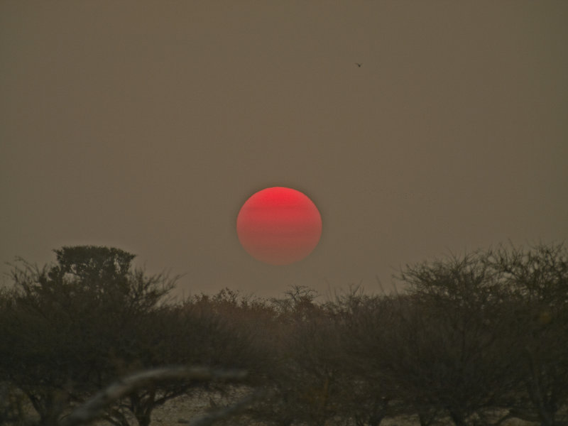 Okaukuejo, Sunset
